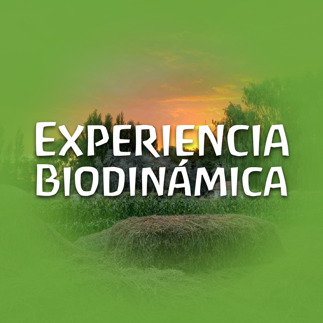 Experiencia Biodinámica