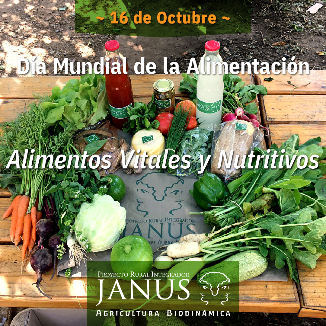 celebramos produciendo alimentos vitales y nutritivos