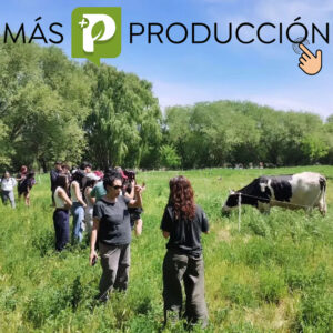 Más Producción