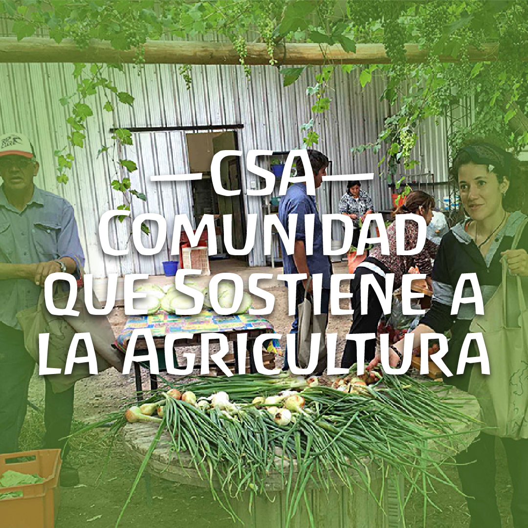 CSA Comunidad que Sostiene a la Agricultura
