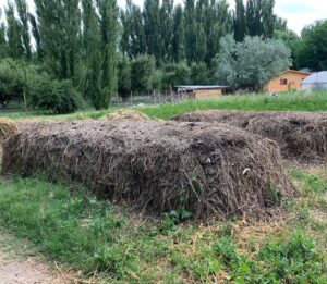 Suelo Vivo una sola Salud