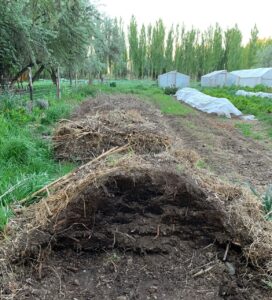 Suelo Vivo una sola Salud